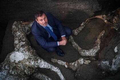 El espléndido animal tuvo una muerte atroz, por sofocación y choque térmico, fatalidad que con seguridad compartió con su dueño