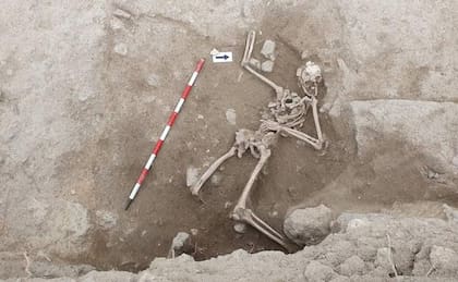 El esqueleto del caballero visto desde arriba de la fosa del castillo de Guardamar del Segura en donde fue encontrado