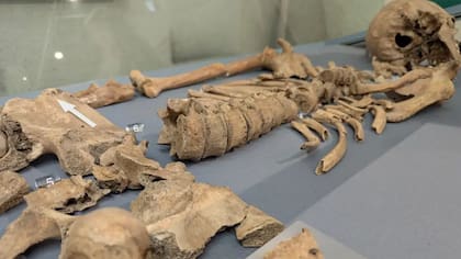 El esqueleto del joven fue hallado durante una excavación en York en 2004