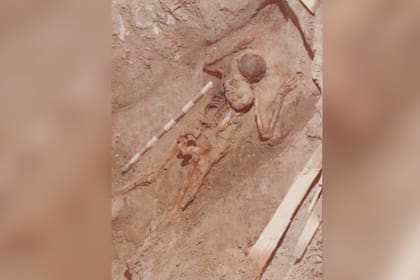 El esqueleto fue descubierto en 1982, pero recientemente se descubrió el tipo de material que llevaba el soldado gracias a los avances de la tecnología