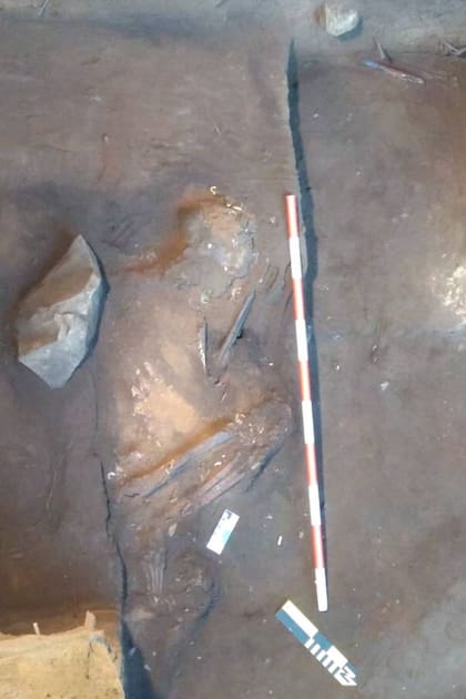 El esqueleto hallado en Serranopolis estaba casi completo
