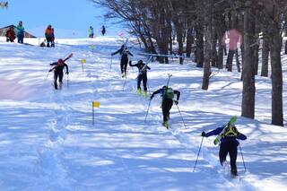 Todo sobre un nuevo deporte olímpico