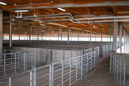 El establecimiento cuenta con corrales de 3.600 m² para la recepción de animales, diseñados para minimizar el estrés en la descarga y facilitar el control sanitario
