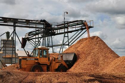 En Forestal Las Marías, en Corrientes, se usan subproductos de la madera