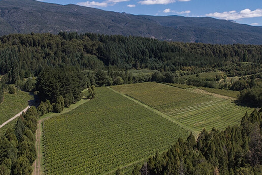 En un viaje a Hong Kong descubrieron un secreto y hoy son conocidos en los mejores hoteles, supermercados y aerolíneas