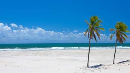 El estado de Bahía tiene cientos kilómetros de playas y muchos tesoros por descubrir.