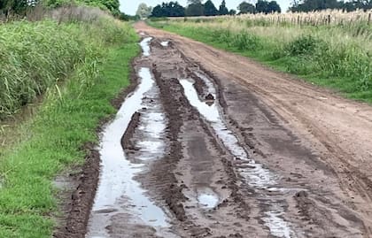 El estado de los caminos rurales es crucial para que las maquinarias agrícolas puedan ingresar así como los camiones