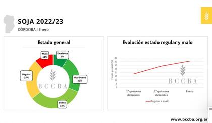 El estado de los cultivos de soja en la provincia de Córdoba