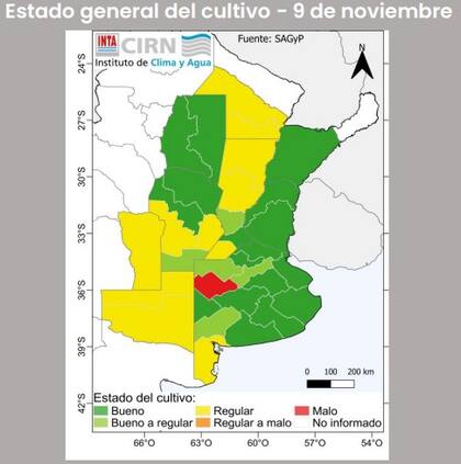 El estado de los cultivos según el INTA