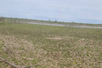 El estado del campo de Martín Colón, sin pasto