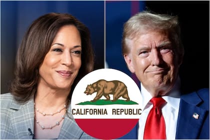 El Estado Dorado es uno de los mayores bastiones demócratas del país norteamericano, donde Kamala Harris espera obtener una amplia ventaja sobre Donald Trump