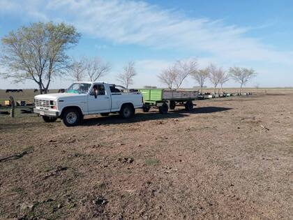 El estado el campo producto de la falta de lluvias