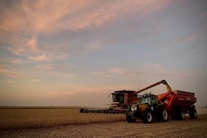 El Estado se queda con el 82,6% de la renta de la soja en un campo alquilado mientras el productor pierde plata