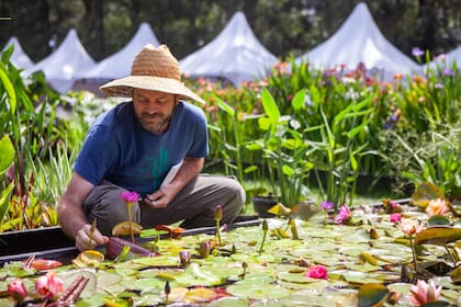 El estanque de Vivero Acuático Naturalia, uno de los atractivos de la feria, con ejemplares en flor, y atrás, una bella colección de lirios.