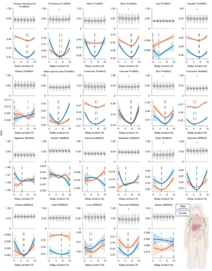 El estudio analizó cómo dormir poco o dormir mucho se asocia a un envejecimiento biológico acelerado en distintos órganos, con patrones diferentes según el sistema y el sexo biológico