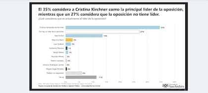 El estudio de la Universidad de San Andrés que indagó sobre el rol de Cristina Kirchner en el tablero opositor