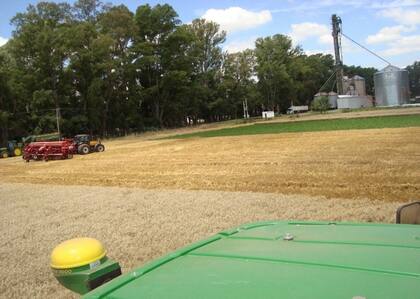 El estudio fue realizado en lotes CREA del norte de Buenos Aires