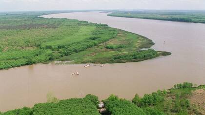 El estudio fue realizado por el Conicet y la Prefectura