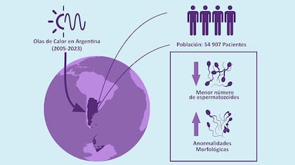 El estudio implicó el análisis de 55.000 muestras de semen