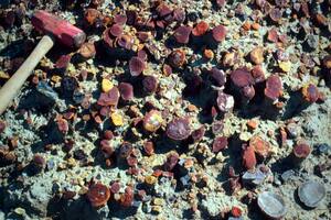 Hallan un antiguo mundo tropical sumergido perfectamente conservado en Mazon Creek