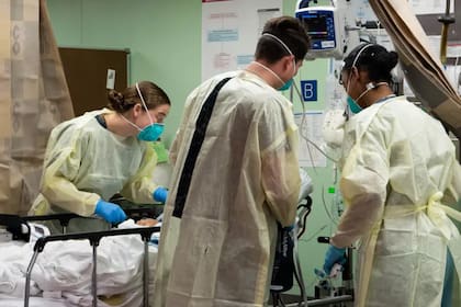 El estudio que puso al timo bajo una nueva luz comenzó de manera casual por la pandemia de COVID-19