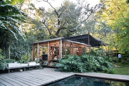 El estudio transparente se funde con el jardín, el follaje exuberante de las monsteras lo contiene