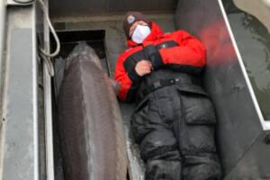El esturión fue encontrado en un lago de Michigan