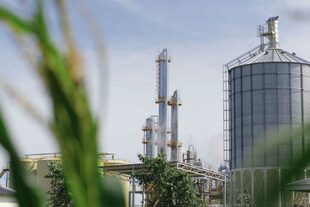 La cadena agroindustrial también produce biocombustibles como etanol y biodiésel