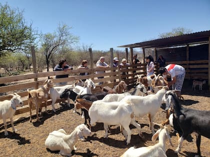 El evento busca articular a productores, escuelas y organismos públicos para fortalecer la actividad en el norte cordobés