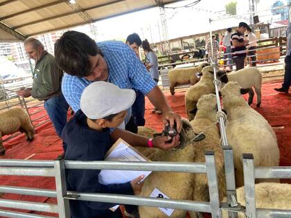 El evento contó con la presencia de destacados jurados internacionales