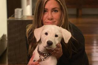 El contundente gesto de Justin Theroux a Jennifer Aniston, luego de sus dichos sobre la maternidad