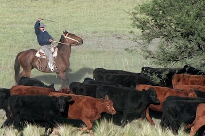 El exceso de flúor también puede generar complicaciones para la hacienda