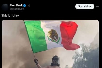 El exdirector del DOGE compartió una imagen de un individuo que sostiene la bandera mexicana en las protestas