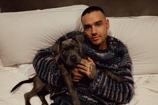 Se conoció la millonaria fortuna que le dejó Liam Payne a su familia