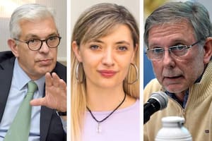 Dos exfuncionarios de Agricultura del peronismo se desmarcaron del impuesto a las vacas de una diputada K