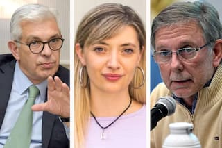 Dos exfuncionarios de Agricultura del peronismo se desmarcaron del impuesto a las vacas de una diputada K