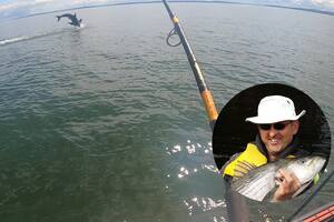 El experimentado pescador vivió un encuentro inolvidable con una especie que jamás imaginó encontrar en su zona: un tiburón blanco