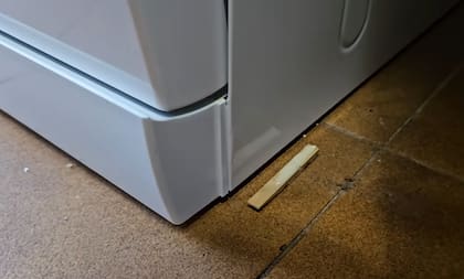 El experto recomendó utilizar palillos o potes pequeños para distribuir el veneno natural por la casa