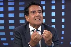 El expresidente del Banco Nación, Carlos Melconian