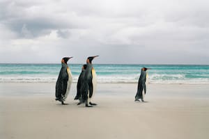 El expresidente impuso gravámenes que afectan desde las Islas Malvinas, cuya economía depende de la exportación de mariscos y pescado