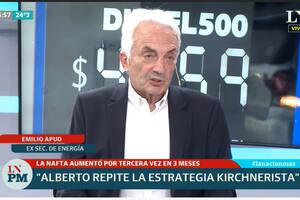 Emilio Apud. "En el verano habrá más cortes porque no hay inversión"