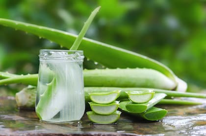 El extracto de aloe vera se puede agregar a jugos o batidos o, tomarlo solo, como remedio