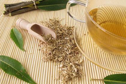 El extracto de corteza de sauce, ideal para tu día a día