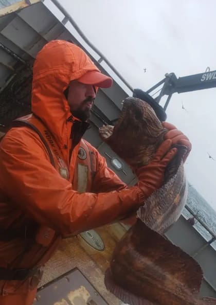 El extraño aspecto del espécimen causó sorpresa entre los usuarios de las redes