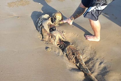 El extraño esqueleto fue analizado por expertos que sacaron sus propias conclusiones sobre la clasificación de esa criatura