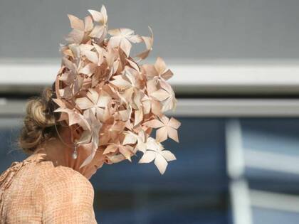 El extravagante tocado le tapaba el perfil derecho del rostro.