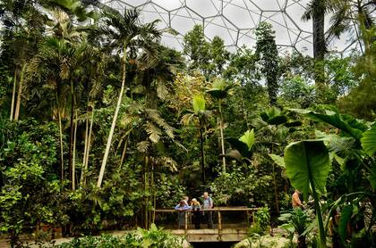 El exuberante bioma tropical. Dentro de estas impactantes cúpulas, nos sorprendemos a cada paso con las junglas de diversas partes del mundo y algunos cultivos tropicales