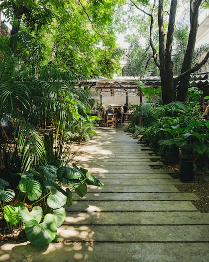 El exuberante jardín de este espacio de Villa Crespo es uno de sus principales atractivos desde marzo de 2021. El paisajismo estuvo a cargo de Ignacio Montes de Oca.