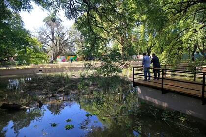 El estanque, como se denomina el espacio, estará abierto desde mañana entre las 10 y las 17, de martes a domingo