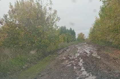 El fallo se apoya en una doctrina consolidada tanto a nivel nacional como provincial, que sostiene que el acceso a la información no requiere justificar un interés particular